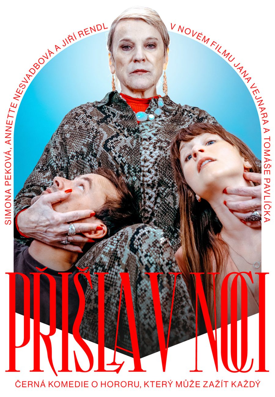 SHE CAME AT NIGHT poster